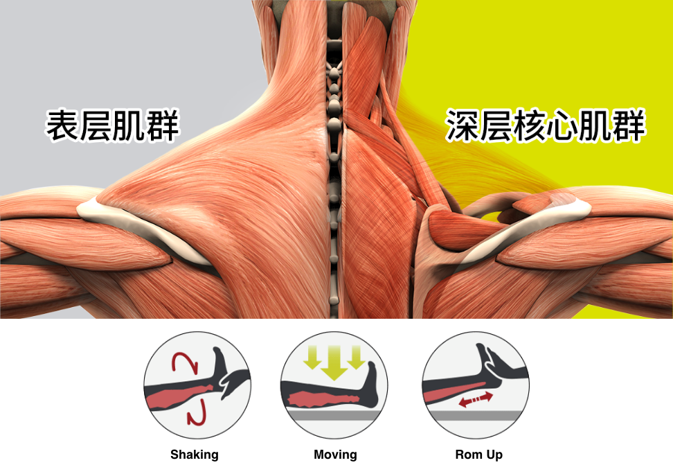 效果可达深层肌群